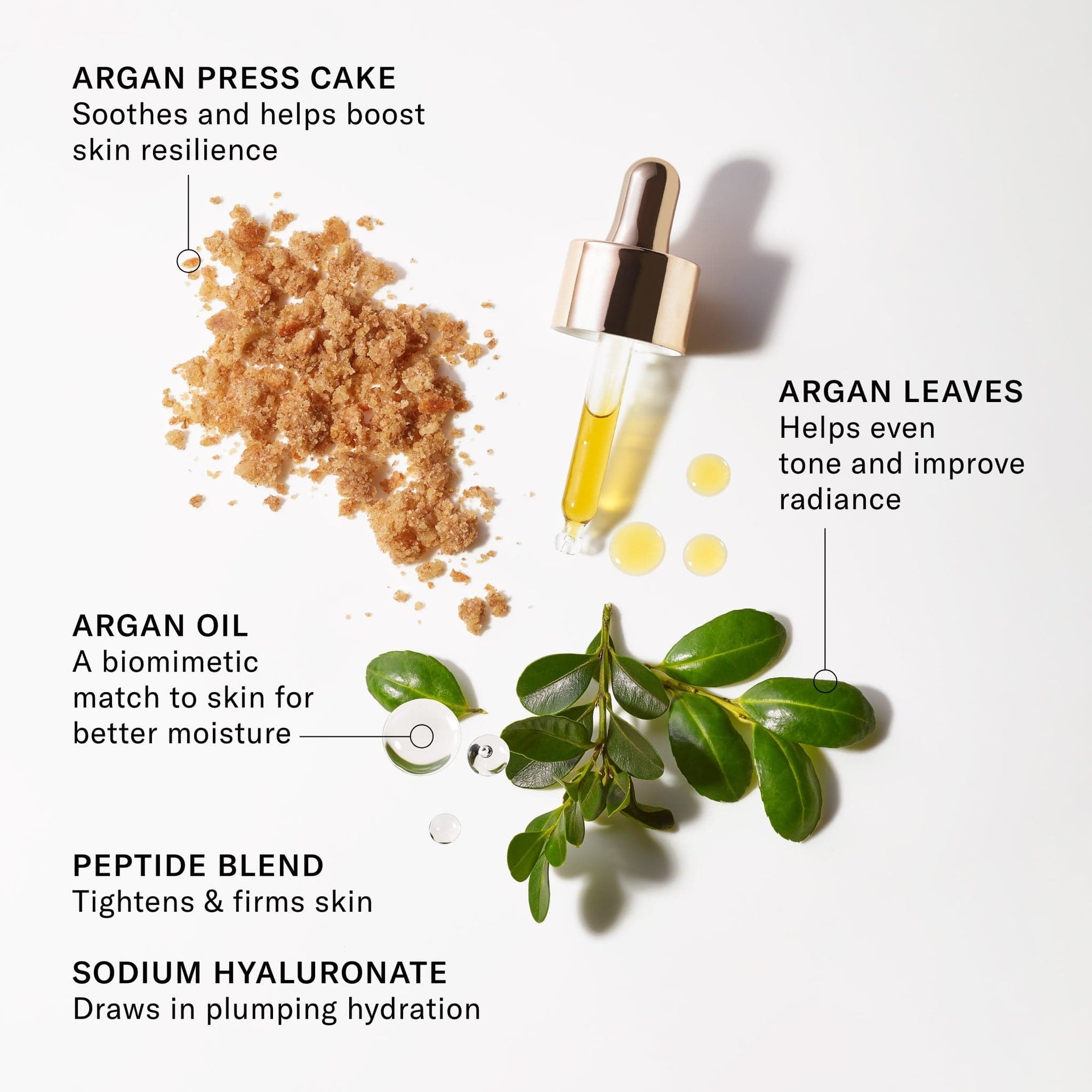 Ingredients. Argan Oil. Argan Press Cake. Argan leaves.