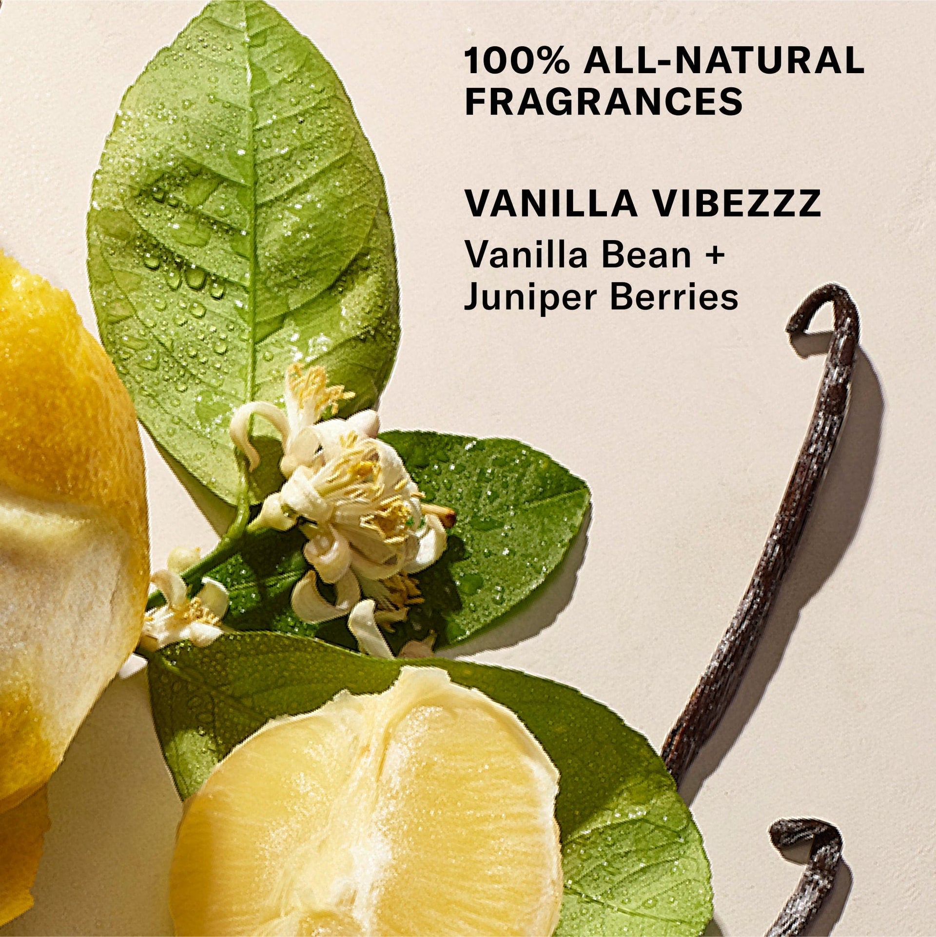 100% All-Natural Fragrances. Vanilla Vibezzz. Vanilla Bean + Juniper Berries
