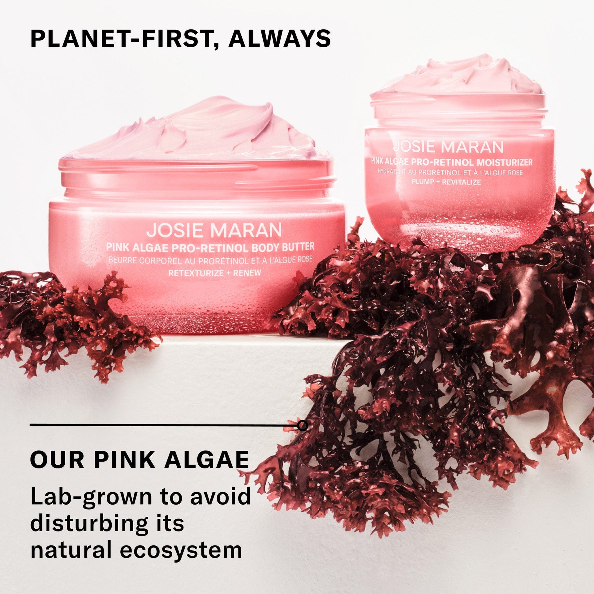 Planet first, always. Our Pink Algae is lab-grown to avoid disturbing its natural ecosystem