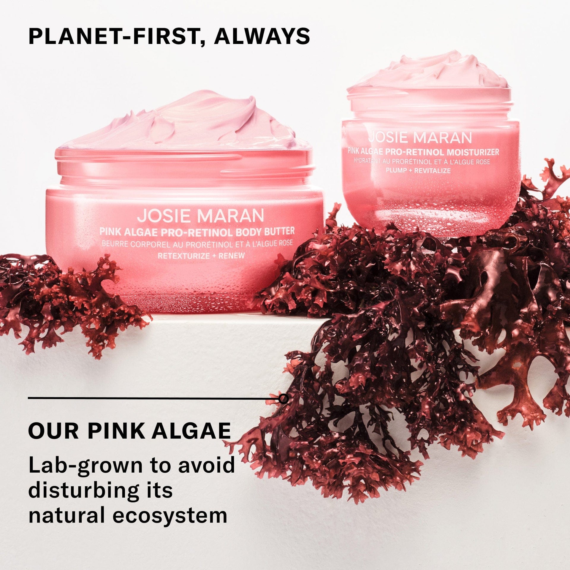Planet-first, always. Our Pink Algae is lab-grown to avoid disturbing its natural ecosystem.