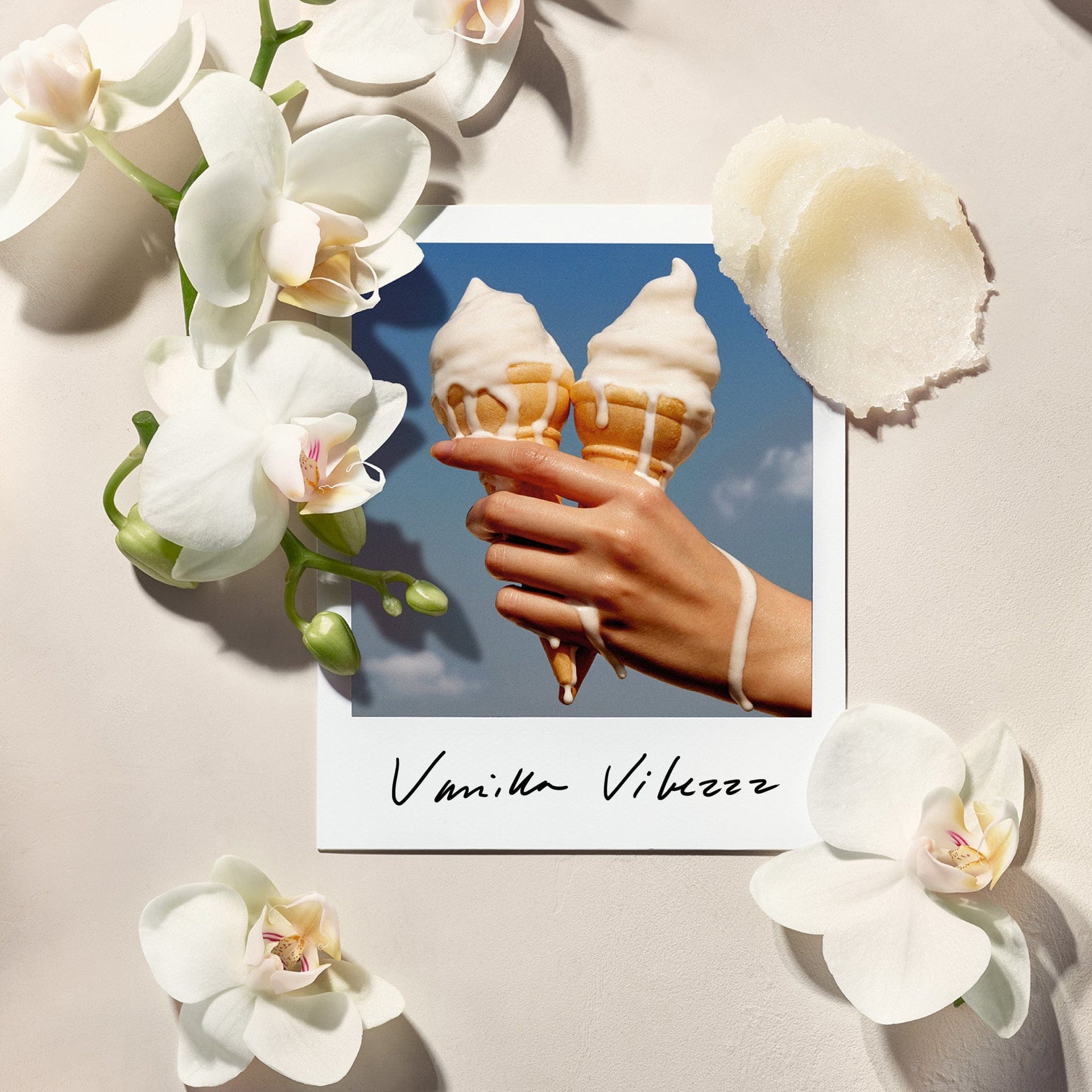Vanilla Vibezzz