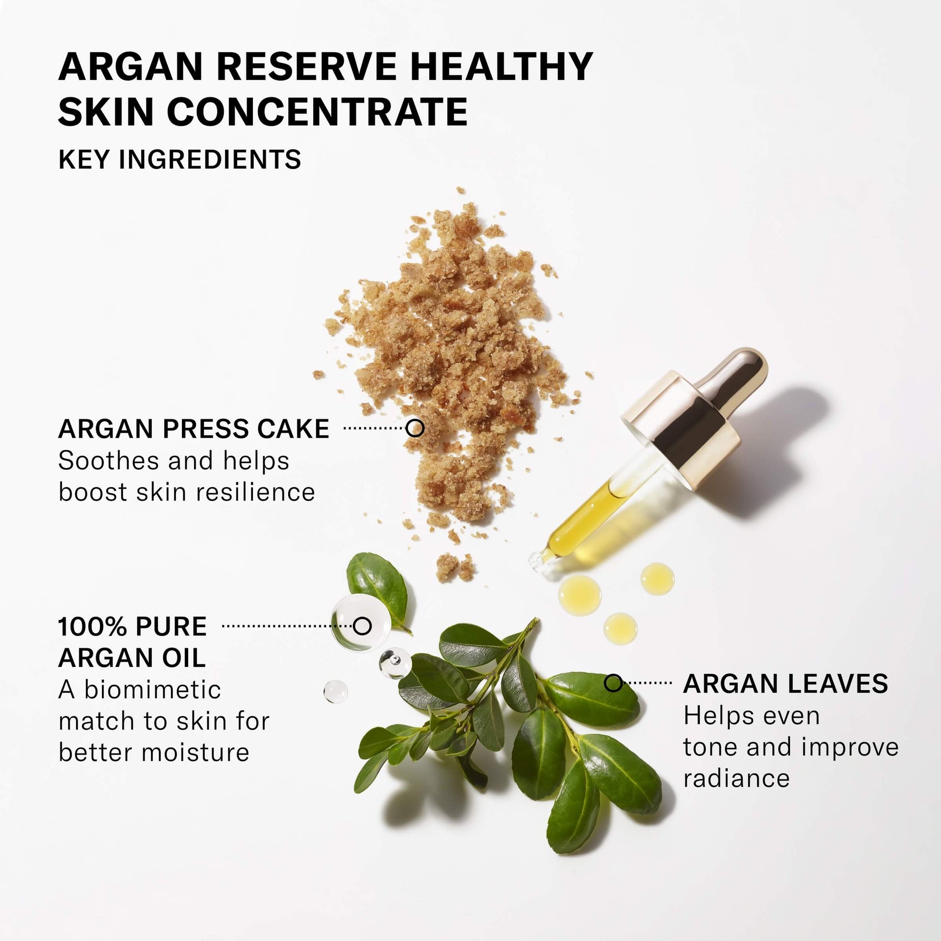 Argan Reserve Healthy Skin Concentrate Key Ingredients