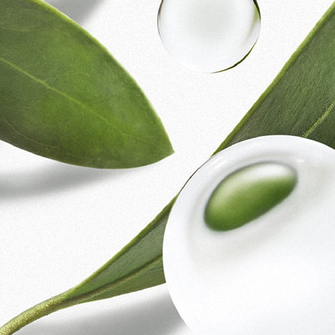 <p>Lock it in and get a gorgeous, dewy glow.​<br/>​</p>