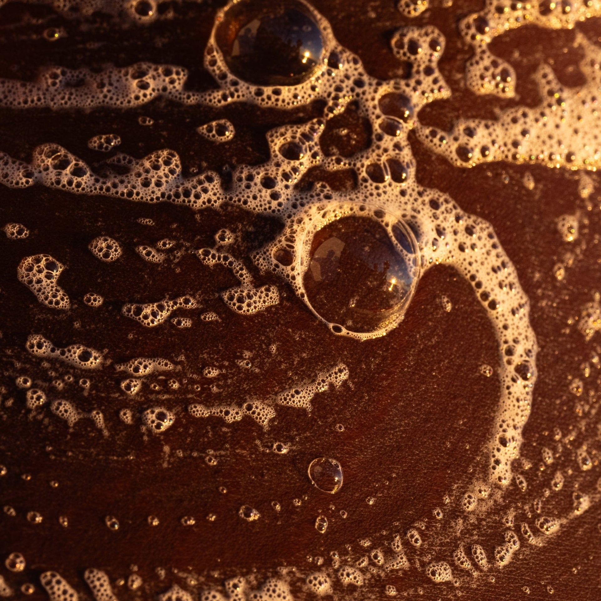 Hydrating Argan Body Wash
