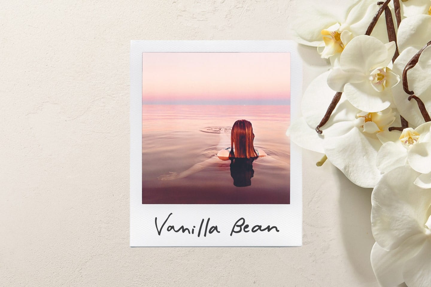 Vanilla Bean