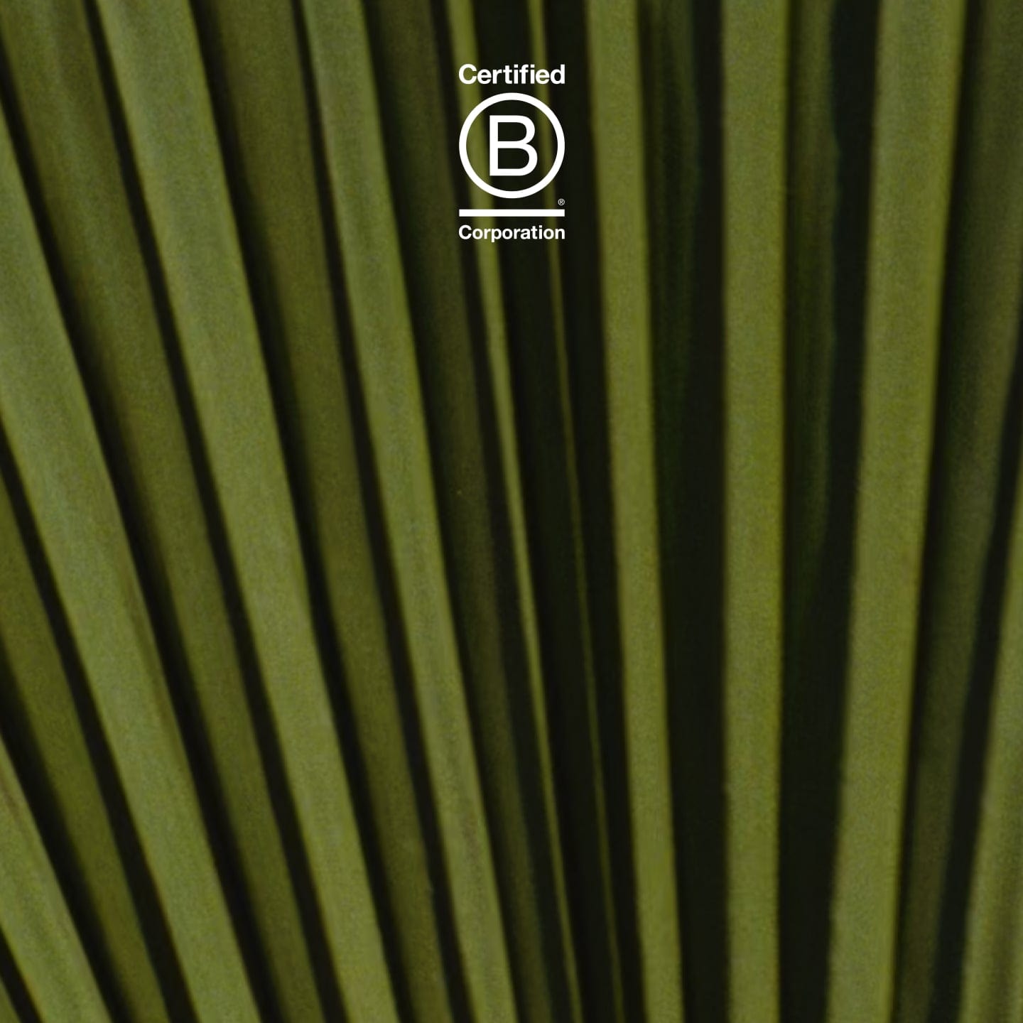 Certified B Corporation