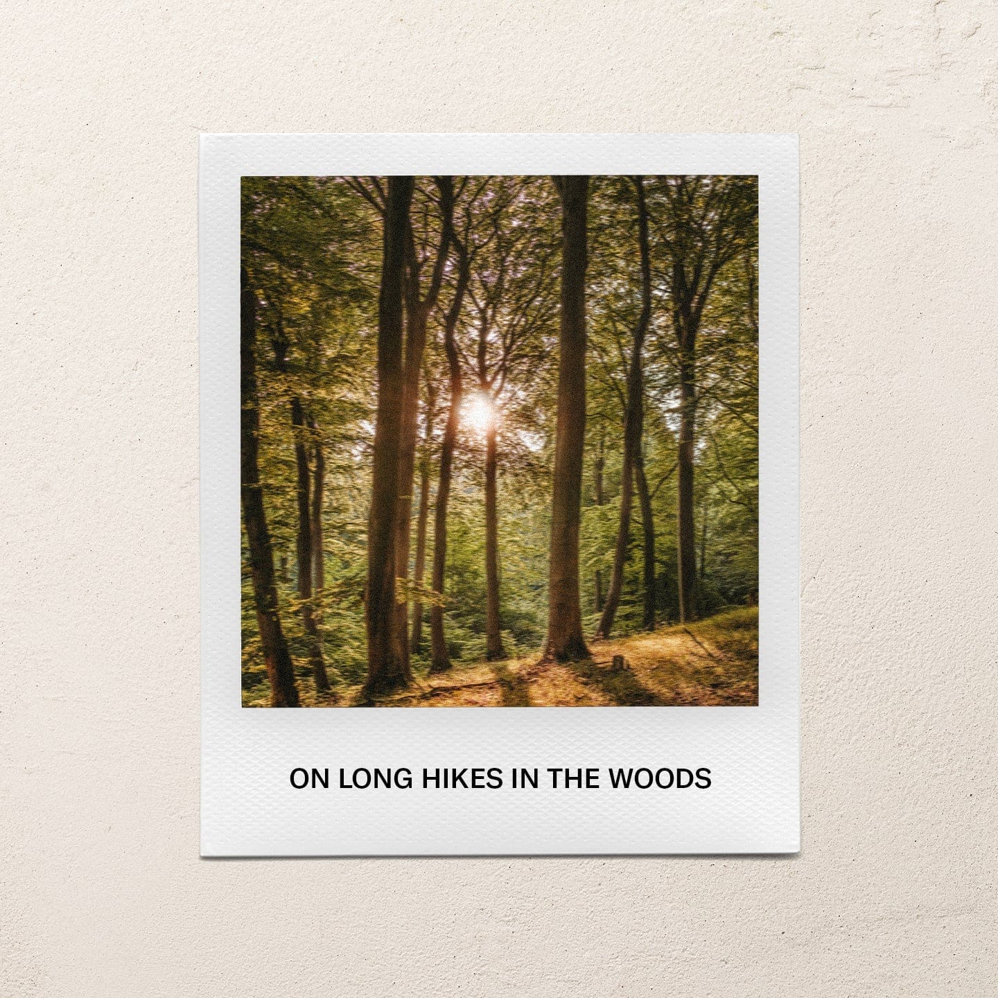 On long hikes in the woods
