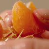 Ingredients Video. Tangerines. 