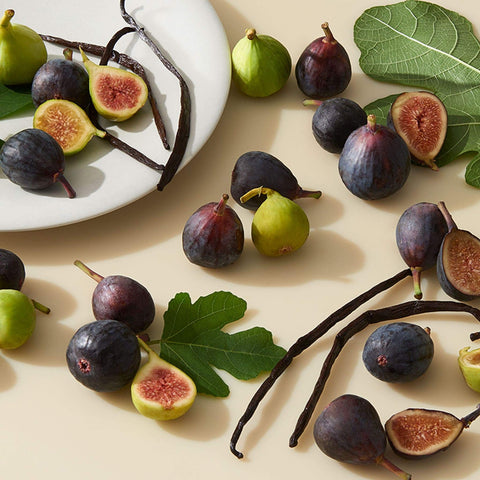 Vanilla Fig